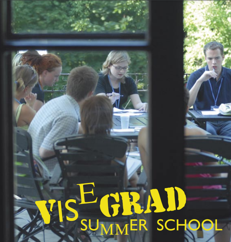 15. A. Kowalska, Visegrad Summer School, Kraków 2008