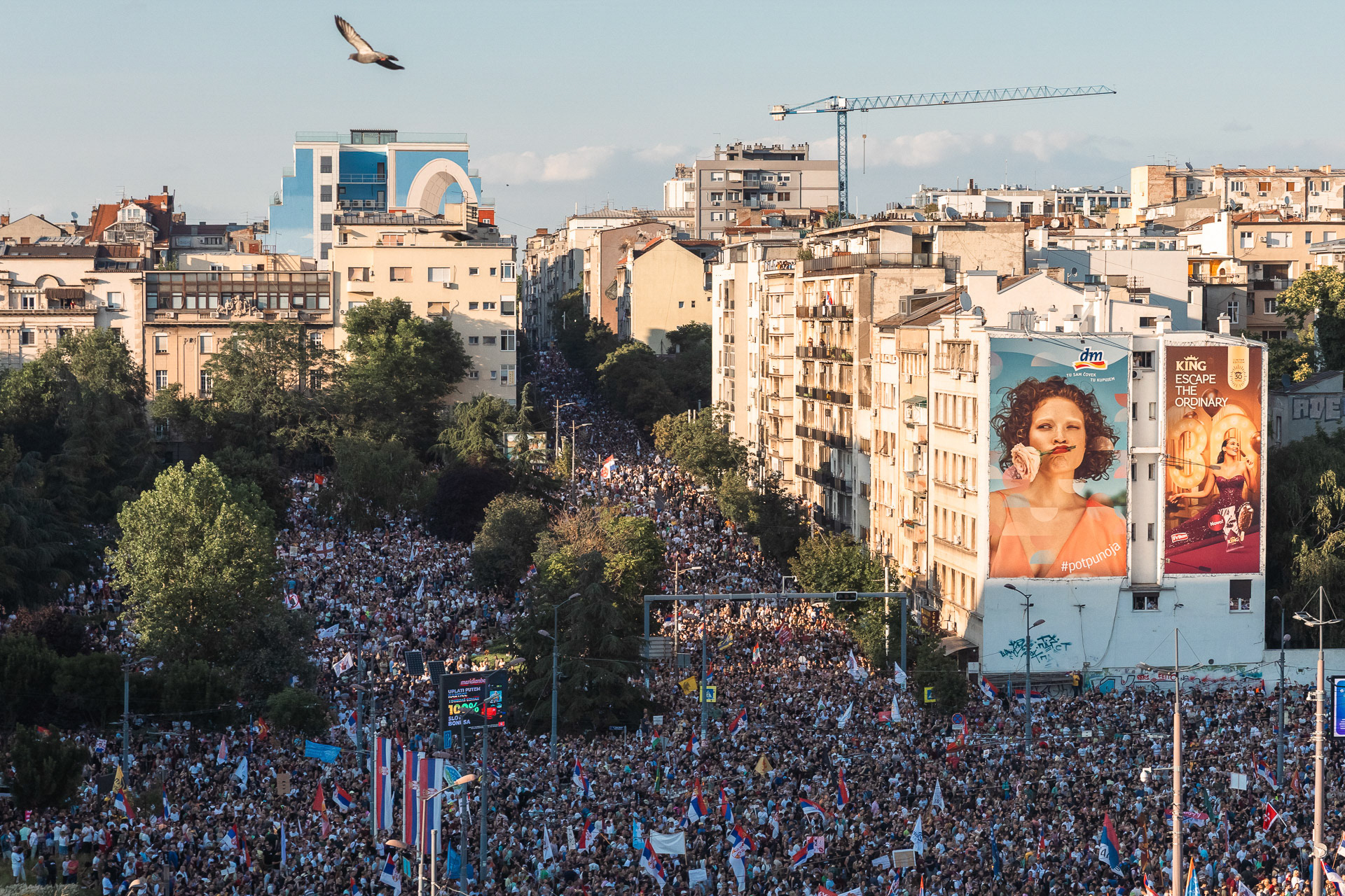 The Villa Decius Association expresses its support for the position of the European Alliance of Academies.